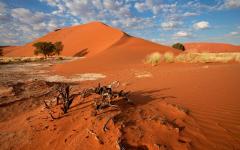 A landscape in Namibia.