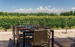 Wine tasting at a winery with view of Andes Mountains in Mendoza.