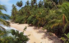 White sand beach in Belize.