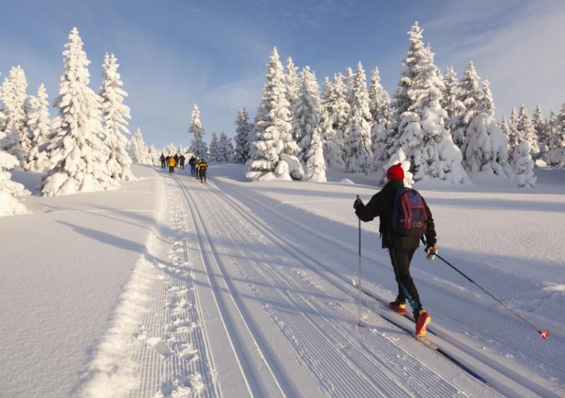 Cross country skiing in Norway.