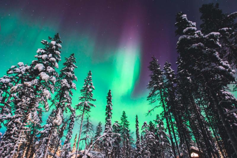 View of Northern Lights over snow-covered forest.